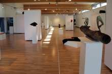 fot. Emilia i Jarosław Boguccy