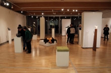 fot. Emilia i Jarosław Boguccy